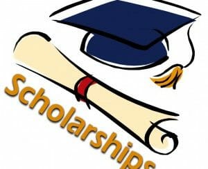 Full scholarship for 100 UAE students wishing to study Ayush in India