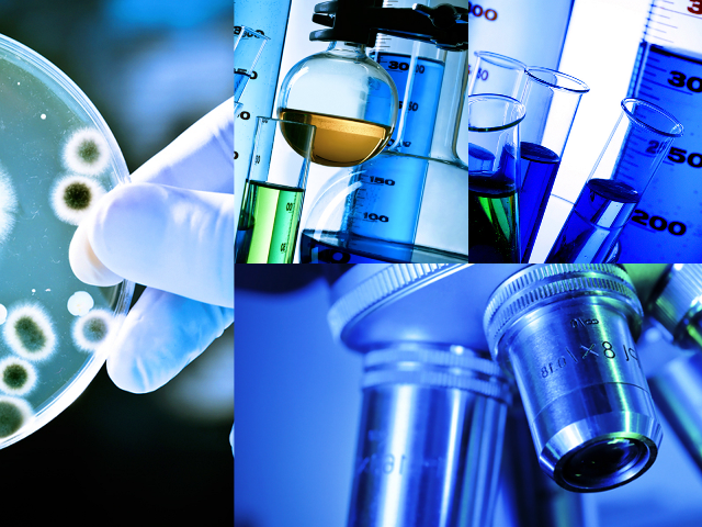 Research papers on bacteria